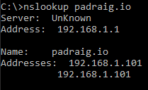 nslookup showing padraig.io resolving to the forged IP address